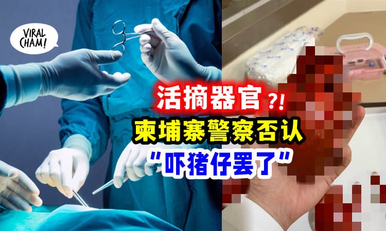 【没有证据!】柬埔寨警察「否认活摘器官传言」⚡ 表示: 只是恐吓猪仔的伎俩