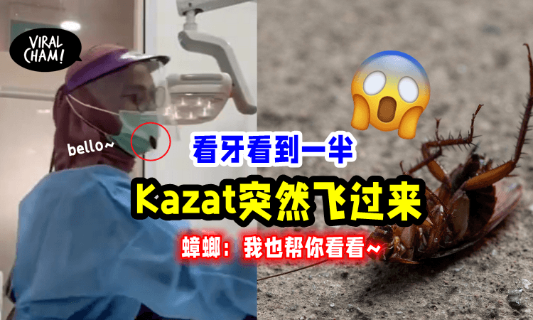 【跑进嘴巴就惨了！😱】牙医看诊「蟑螂也来凑热闹」网友：是拔牙还是拿命？
