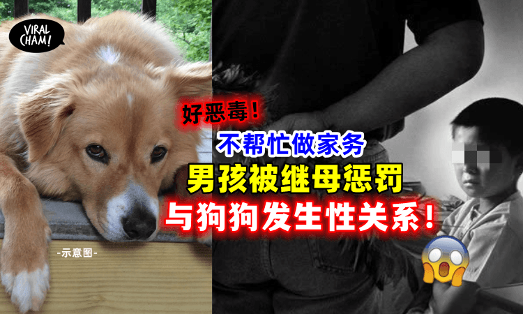 【传说中の恶毒继母！】男孩不要做家务，竟被惩罚与狗狗啪啪啪！😱