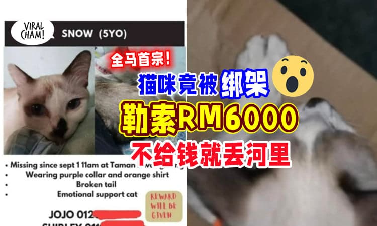【全马第一宗🐱】爱猫竟被绑架「遭勒索RM6000💰」绑匪 : 不付钱就把猫进入河里！