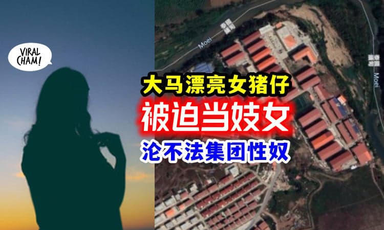 【女性悲歌!】大马猪仔「卖给KK园区当妓女」协助者惨遭枪毙 弃尸路边😭