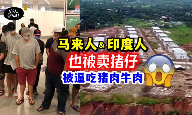 【不只是华人!】巫裔&印裔 也被卖猪仔⚡还被逼吃猪肉牛肉😱