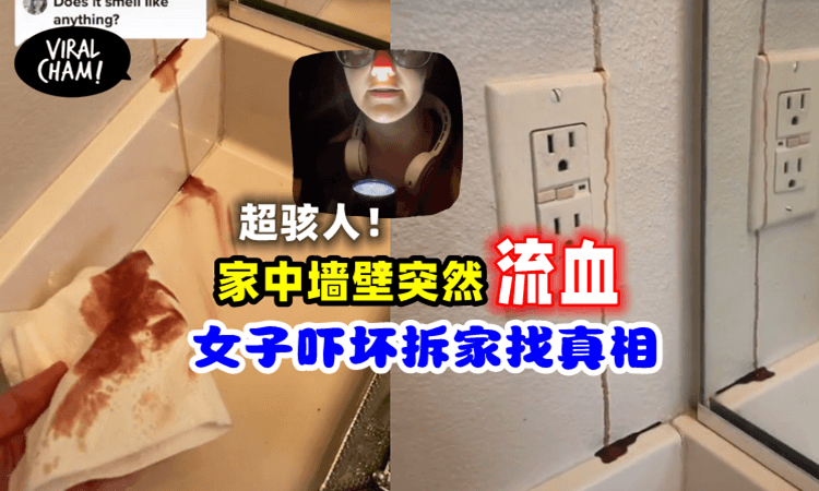 【怀疑被恶灵纠缠！】家里墙壁突然“渗血”！女子吓坏上网求救，拆墙后谜团解开了！