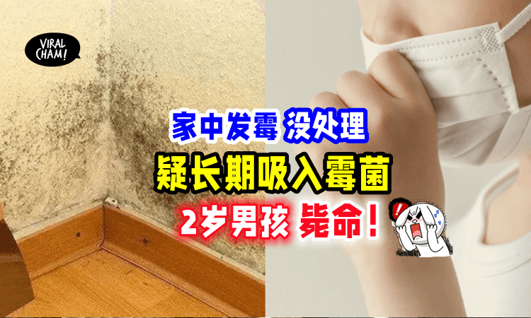 【肺里面长霉菌⁉️】男童「因家里经常发霉」呼吸道被严重感染⚡️不治身亡❗️