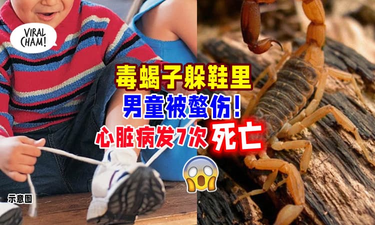 【穿鞋时一定要Check‼】7岁男童穿鞋「被毒蝎子螫伤🦂」心脏病发7次身亡😭