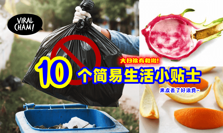 【吃完不要丢❌】10个实用「生活小妙招」原来龙珠果皮可以这样用😯