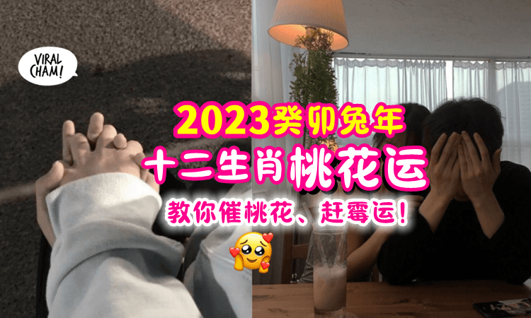 【一起脱单吧❗️】2023癸卯兔年「桃花运最旺+最弱💌」Top 3生肖一次看🔥