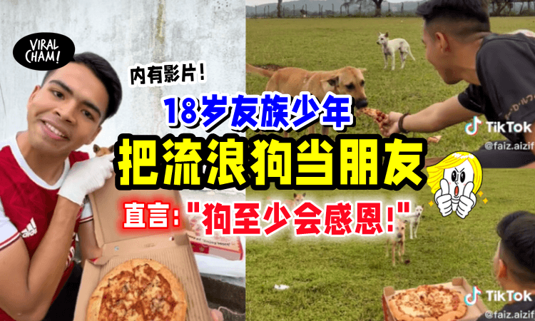 【”狗会感恩 · 人未必❗️”】马来青年「把狗狗当朋友✨」常买”好料”喂它们吃‼️（内有影片）