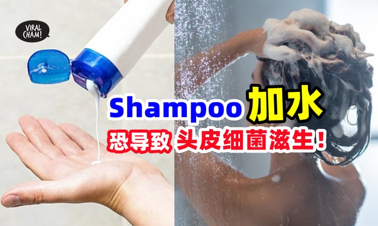 【头皮在喊救命❗】Shampoo快用完『倒水进去继续用』⚡ 可能会导致细菌滋生😱