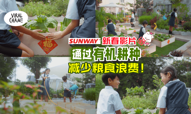 【这样才能保护环境✅】双威集团新春视频分享如何用「有机耕种」减少粮食浪费👍