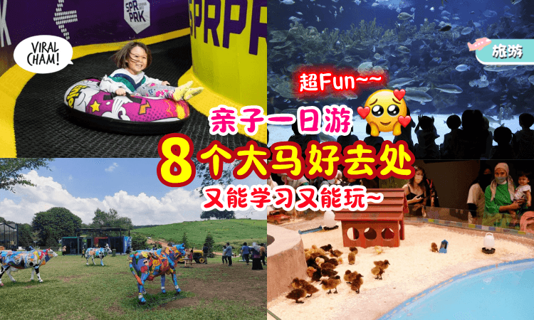 【一起出游噜🤩】适合亲子一日游的「8个大马好去处✨」边玩边探索超Fun~