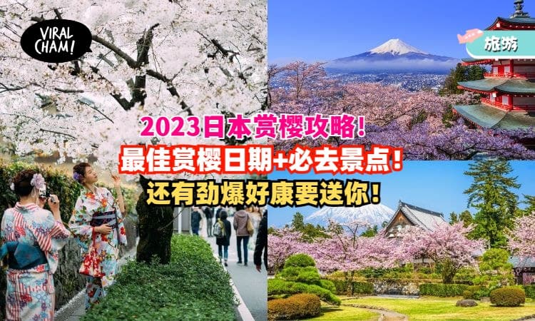 【日本赏樱全攻略🌸】2023最佳赏樱日期+景点推荐懒人包！这样玩最爽！