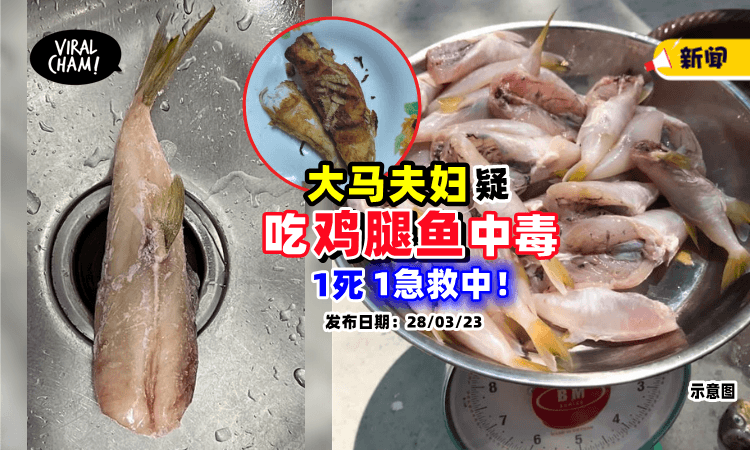 【疑吃鸡腿鱼中毒⁉️】大马妇女吃下肚「全身抽搐身亡」丈夫仍在ICU抢救❗️