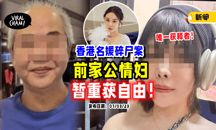 【曾帮忙藏人❓】蔡天凤「前家公情妇」暂重获自由⚡5名嫌犯内唯一获释者！