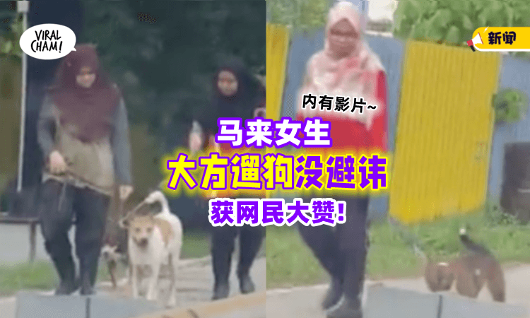 【暖心画面🥰】马来女生大方「当街遛狗🐕」网民大赞: 向你们致敬！(内有影片)