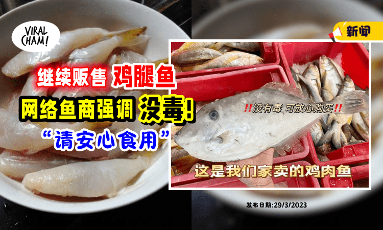 【“放心,没毒!”】网络商家疑清存库「还在卖鸡腿鱼🐟」渔业会长: 政府曾发🈲售令