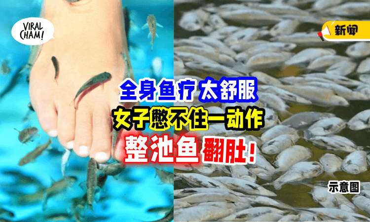 【鱼Spa太舒服🐟】女子「忍不住一举动」搞到鱼群全翻肚😱