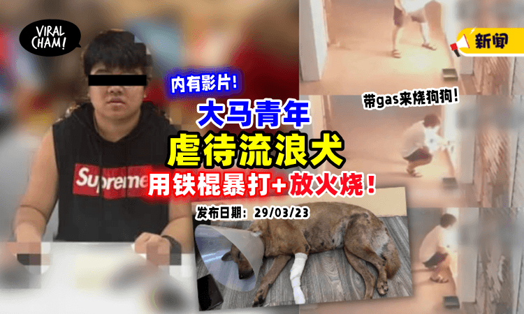 【内有影片！】大马华裔青年用「铁棍暴打」流浪狗🐶还用汽油烧它们😱