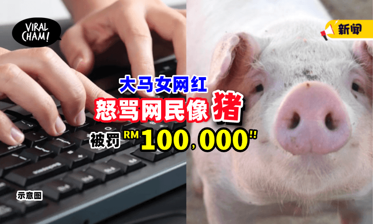 【不要乱乱骂人❗️】大马网红嘲讽网民像「猪🐽」被判诽谤罪成，赔偿RM100,000！