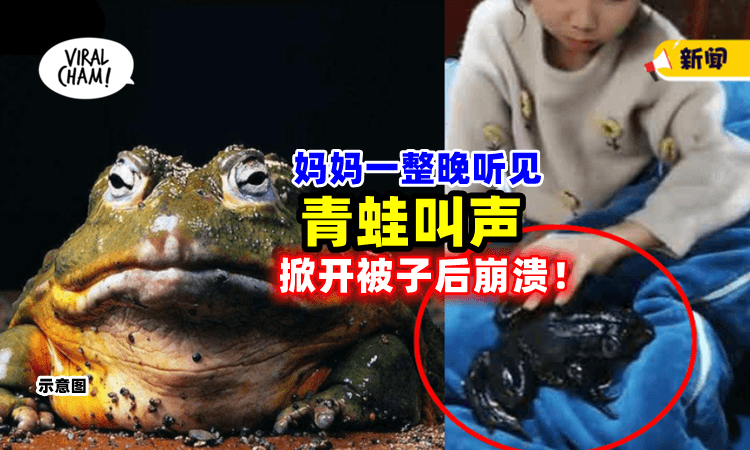 【还以为是玩具❗️】整晚一直听到「奇怪蛙叫声🐸」妈妈掀开女儿棉被后吓疯！