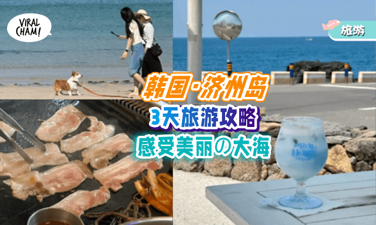 【一起去JEJU看海吧🌊】济州岛「3天攻略✈️」结合大自然 + 文艺Cafe, 超好打卡~