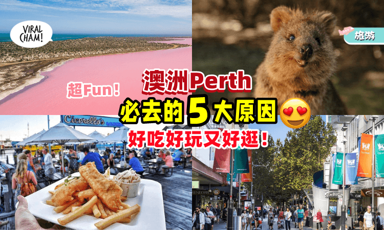 【2023年最佳旅游目的地✈】5个必去Perth的原因✨ 好吃+好玩+好逛的通通都有~
