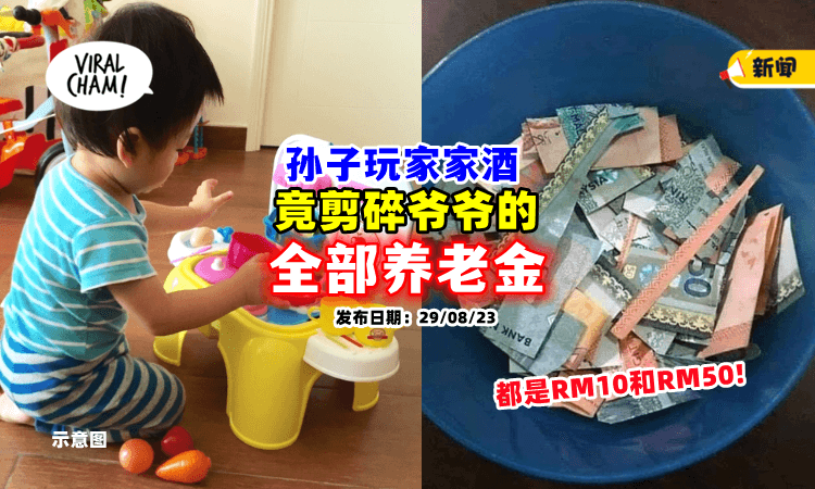 【好贵的”煮饭仔”❗】孙子玩家家酒💸 竟把爷爷的「退休金全部剪碎」
