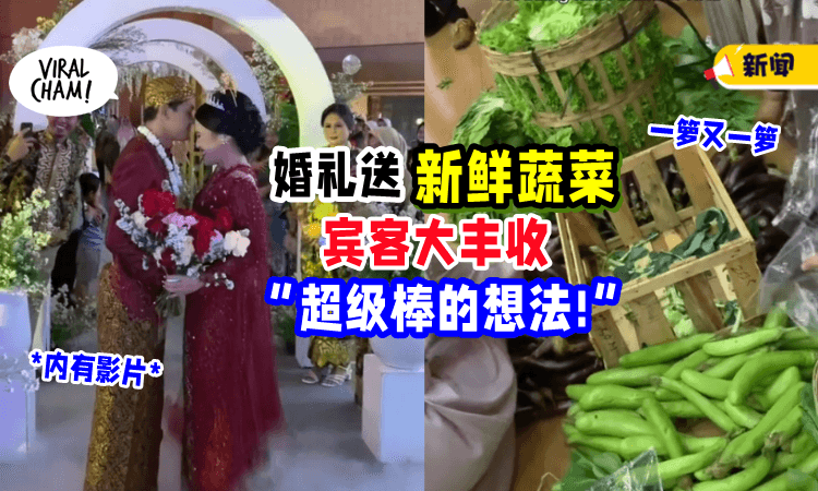 【省了几天饭钱😍】婚礼「送宾客蔬菜」当回礼🥬 新人获得一片赞赏! (内有影片)