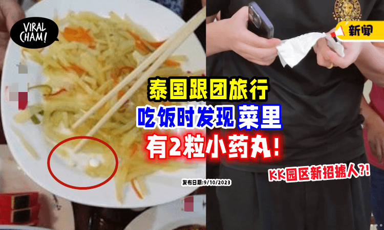 【KK园区出新招⁉️】泰国跟团旅游, 发现「团餐里藏有2药丸💊」