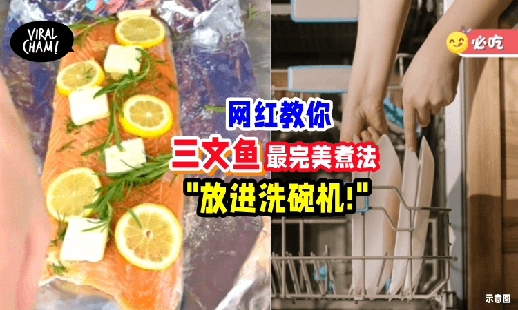【最完美Salmon煮法🐟】无需烤箱🔥 网红教你放进「洗碗机」低温烹调!