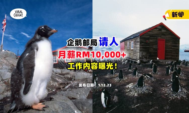 【月入过万不是梦❗】南极企鹅邮局请人『月薪RM10,000+』✨ 工作内容曝光！