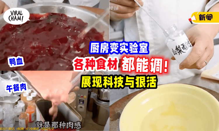 【全是科技与狠活❗️】用「几种粉」制作鸭血、午餐肉、炸鸡排⚡成本超低, 吓坏民众!
