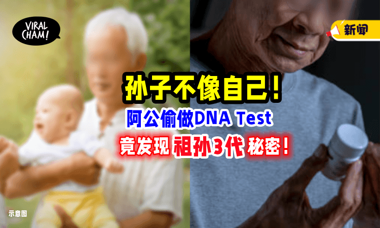 【孙子不像自己❗️】爷爷偷偷做「DNA鉴定」惊觉祖孙3代惊天秘密😱