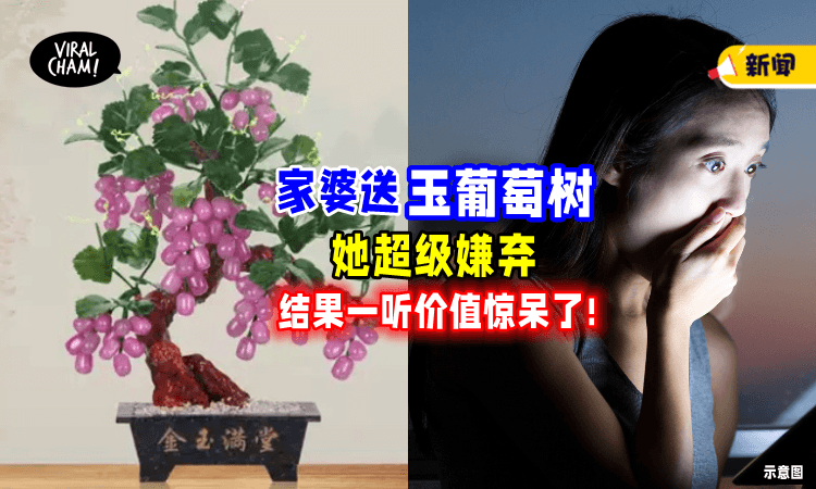 【以为家婆偏心❗】女子嫌弃聘礼是「玉葡萄树🍇」她一查价值后惊呆了！