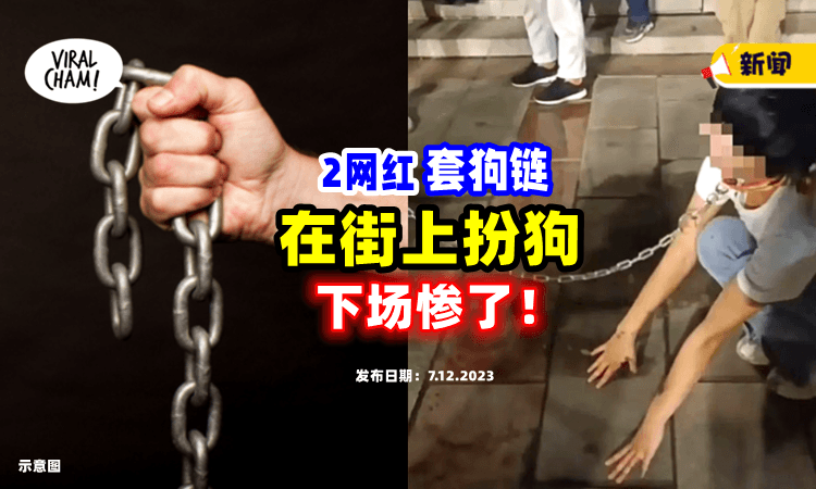 【为了流量无底线❗️】男网红颈套狗链，在街上开「遛狗Live⚡」下场惨了！