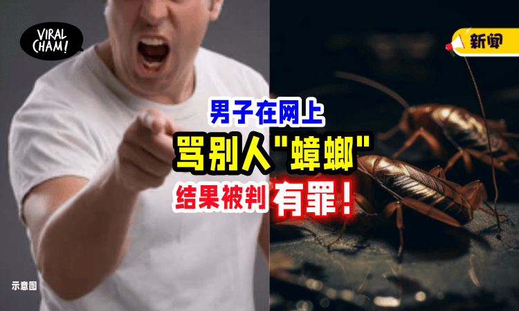 【别在网上乱骂人❗️】男子在Facebook骂别人是「蟑螂」惨被判入狱30天😱