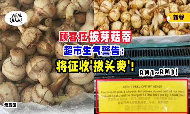 【Beh Tahan了💢】不满顾客「拔芽菇蒂」⚡ 超市警告 : 我们会征收“拔头费”！
