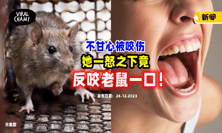 【是个狠人❗️】18岁女大生被老鼠咬后，一怒之下竟「反咬回去」报仇😱