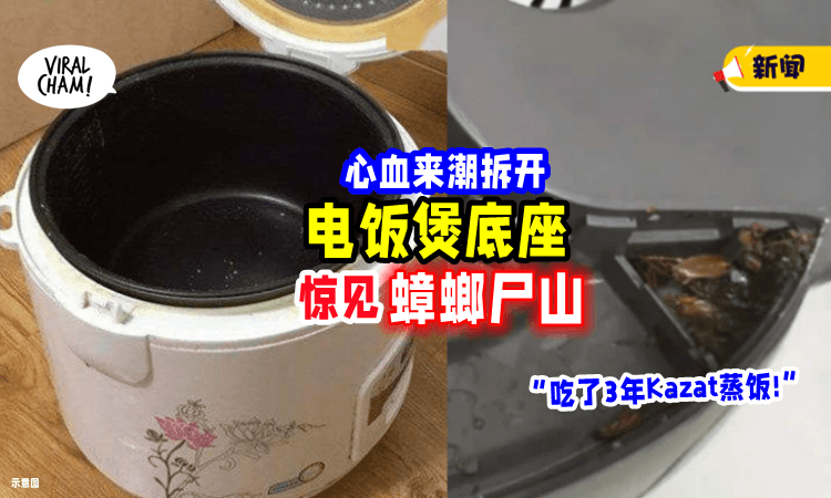 【快Check你家的!】电饭煲「底部全是蟑螂尸体⚡」哀嚎: 吃了3年Kazat饭🤢