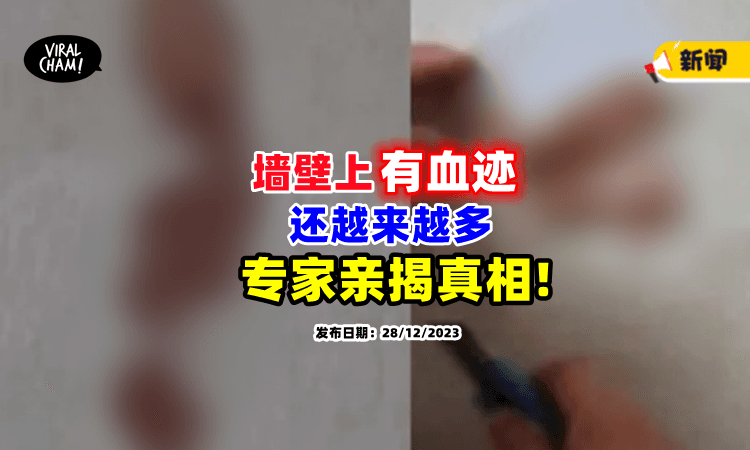 【有东西死在里面⁉️】男子睡醒发现墙上「有血迹🩸」专家：是它惹的祸！