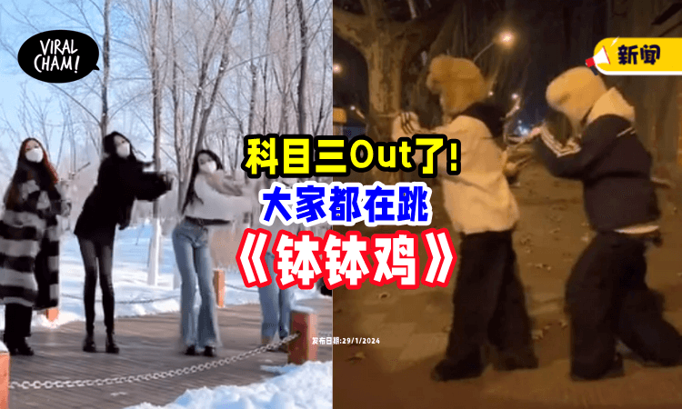 【科目三Out了⚡】现在流行抖音神曲《钵钵鸡🐔》大人小孩都在跳~ (内附影片)