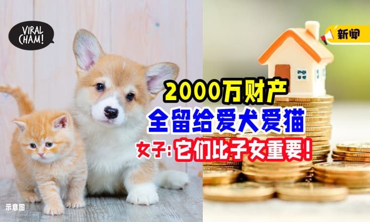 【它们比子女重要❗】女子把2000万财产「全留给爱犬爱猫💰」一毛钱都没留给孩子！
