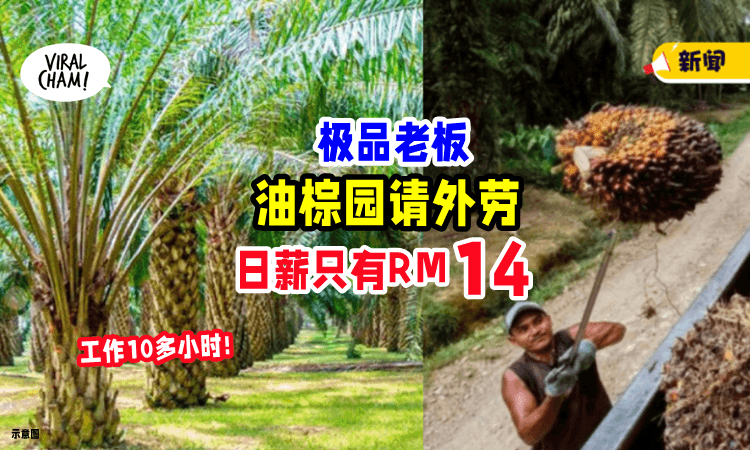 【就离谱!】招聘外劳「日薪只有RM14⚡」刻薄老板被酸: 自己做啦❗️