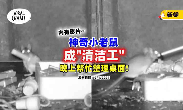 【超有灵性❗】乱放的东西隔天神奇归位🐀 他偷拍惊见「老鼠在打扫」