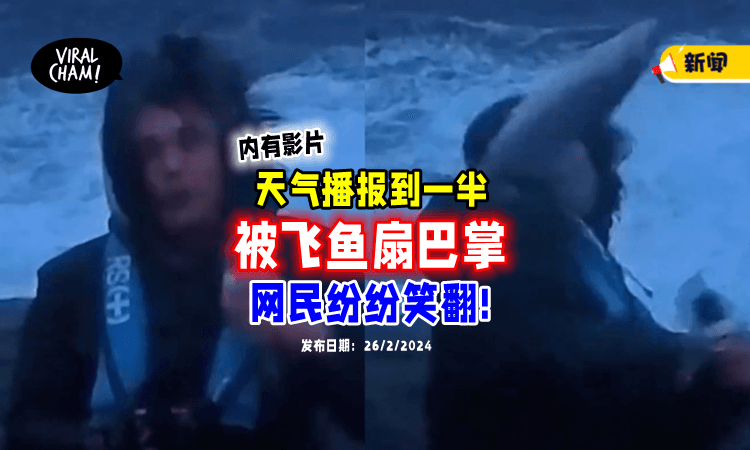 【重重“啪”一声❗】记者播报天气突遭「飞鱼扇巴掌🐟」网民又心疼又好笑！