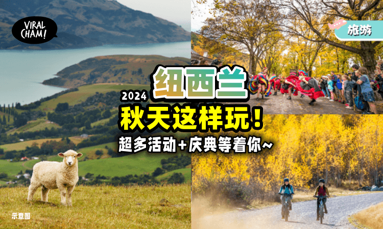 【这样玩不踩雷❗️】New Zealand『秋季旅游攻略』超多活动等你去探索🤩