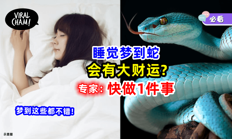 【梦到这些都有“财”】梦到蛇是吉是凶❓民俗专家呼吁「快做1件事⚡」