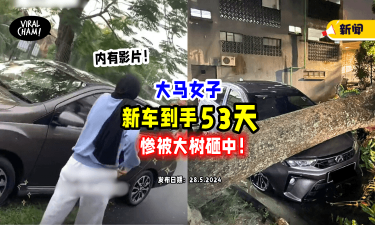【有够衰❗️】大马女子「喜提新车才53天⚡」惨被倒下的大树准准砸中!（内有影片）