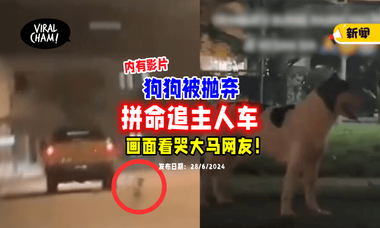 【不忍心看❗】狗狗遭主人抛弃后「拼命狂追」画面让大马网友心酸😭