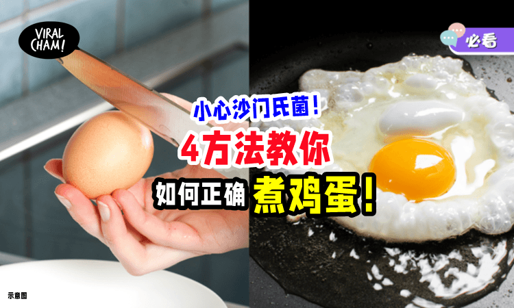 【超过4小时最好别吃❗️】大马公共卫生分享：烹煮鸡蛋的『4个正确方法🍳』
